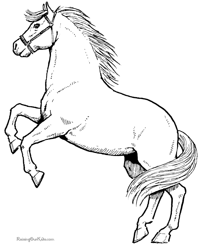 Horse Coloring Pages For Kids - Free Printable Coloring Pages
