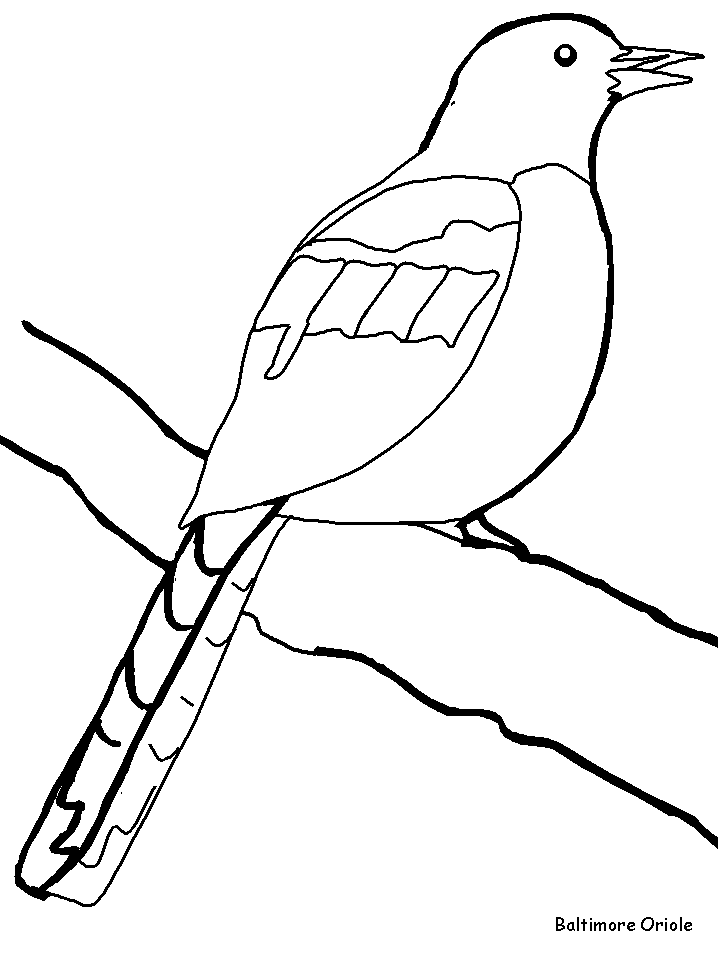 Bird Oriol Colouring Pages (page 3)