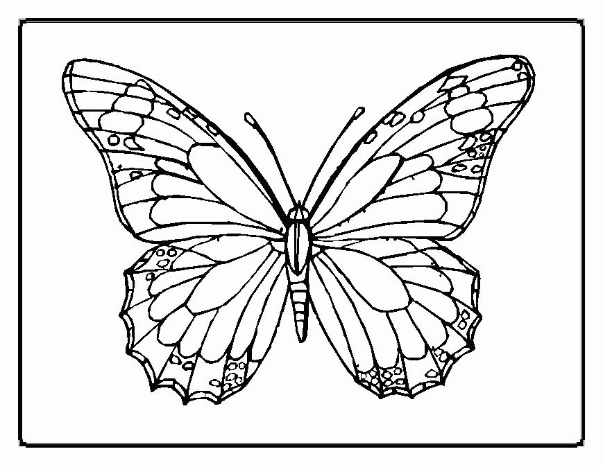 Butterfly Coloring Pages To PrintColoring Pages | Coloring Pages