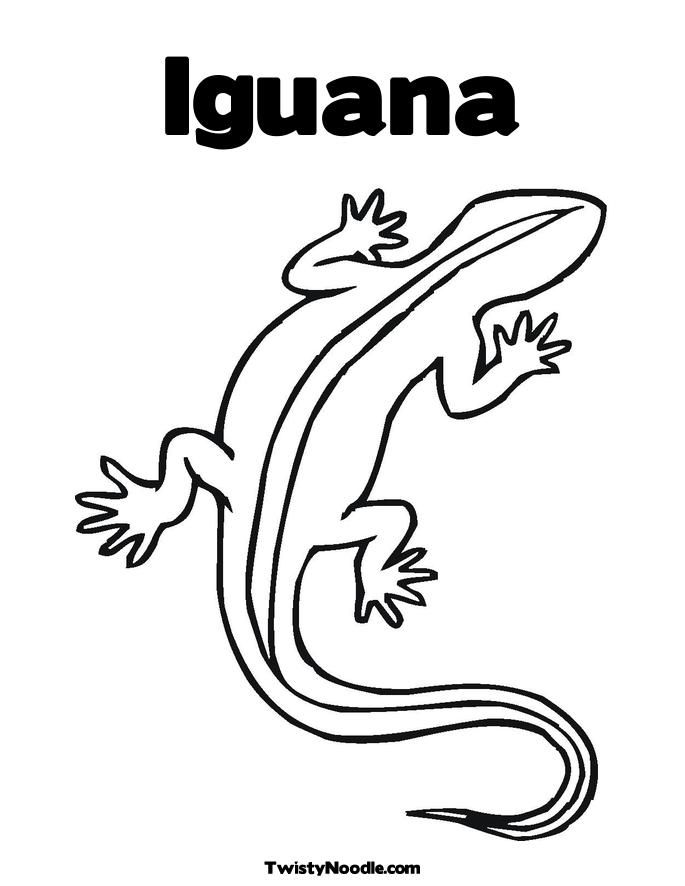 Iguana Coloring Page Galapagos Land Iguana Coloring Pagefull Size