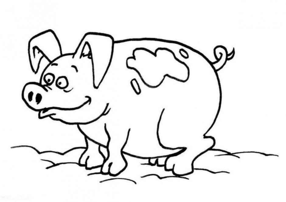 Baby Pig Coloring Pages Coloring Book Area Best Source For 230996