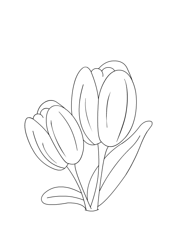 Flowers Coloring Pages for Kids| Color a Tulip