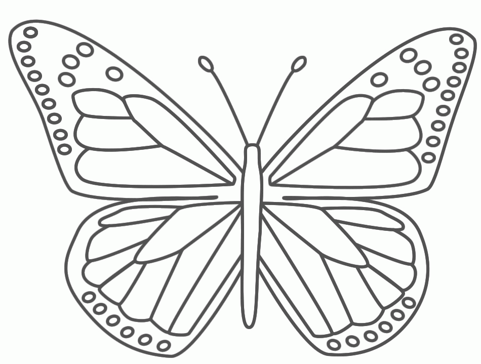 Butterfly Coloring Pages To PrintColoring Pages | Coloring Pages