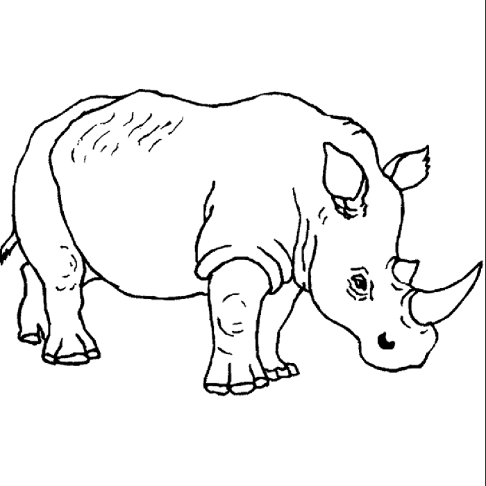 rhino coloring pages for kids | Best Coloring Pages