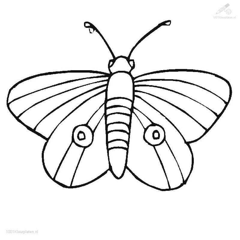 Butterfly Coloring Pages 63 260084 High Definition Wallpapers