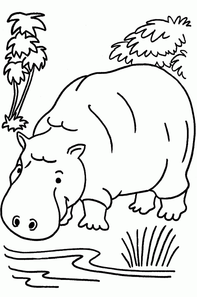 Jungle Animals Coloring Pages for Kids – Hippo | coloring pages