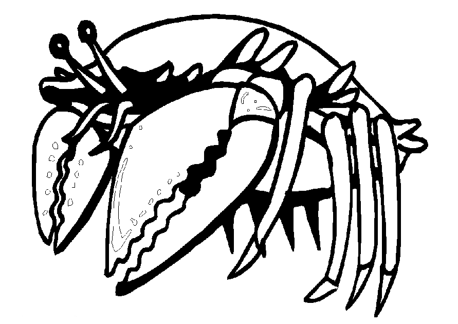 Animal Coloring Crab 4 Crab Coloring Pages From 101ColoringPages