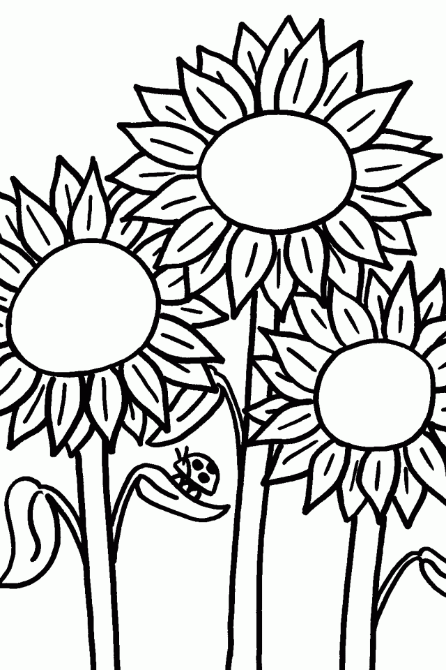 Clip Art Coloring Pages | download free printable coloring pages