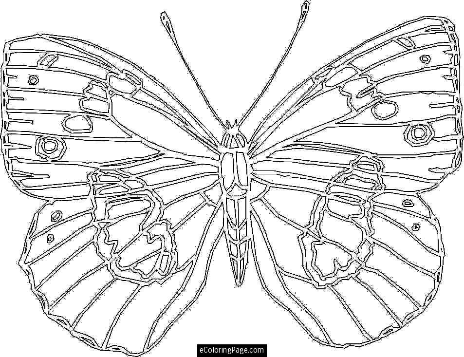 Printable Coloring Book : Childrens Printable Coloring Pages