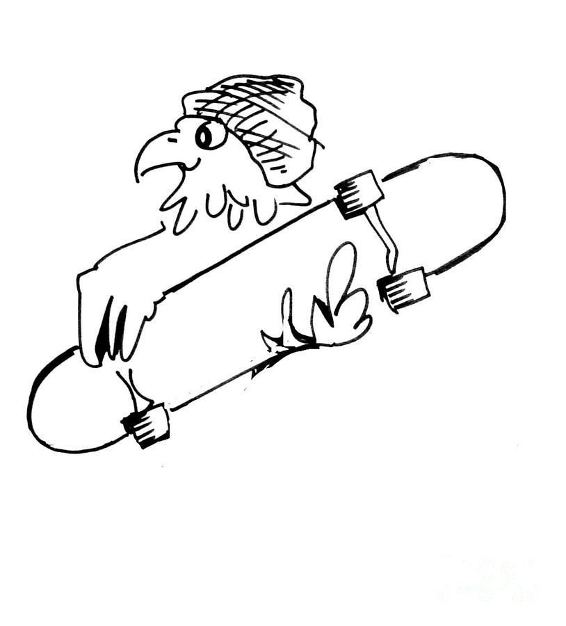 Hawk Drawings for Sale