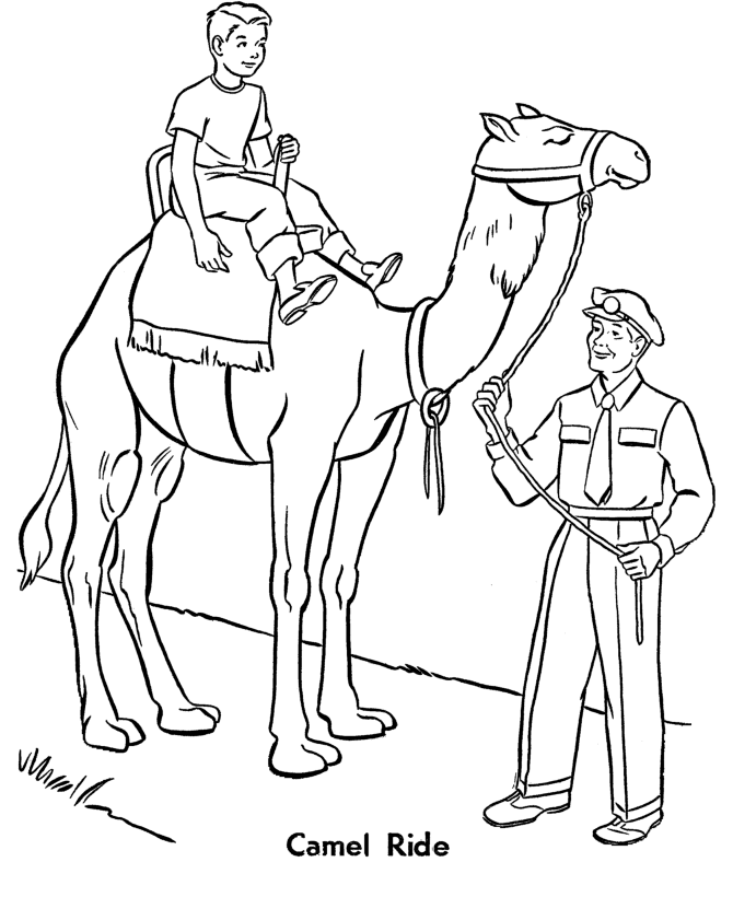 Zoo Animal Coloring Pages | animals coloring pages | #21 | Color