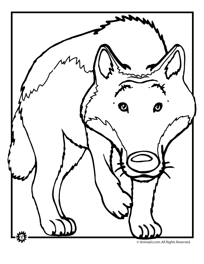 Coloring Pictures Of Wolves