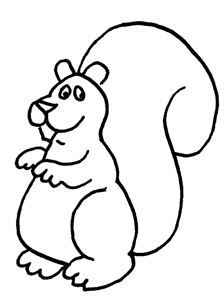 Squirrels Colouring Pages- PC Based Colouring Software, thousands