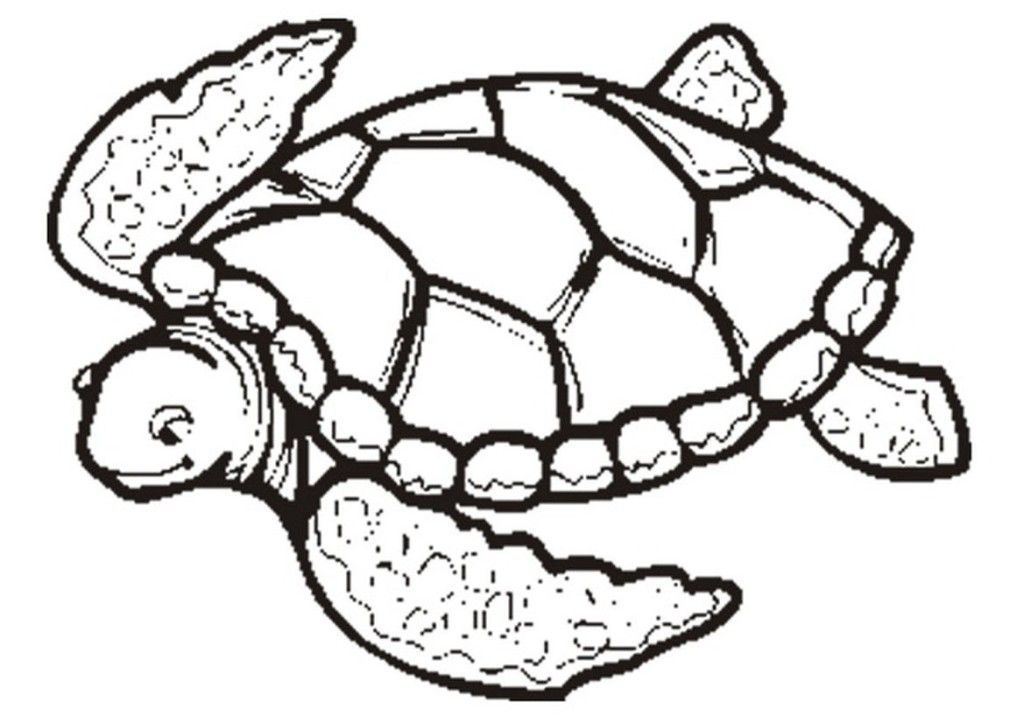Turtle Coloring Page | Coloring Pages