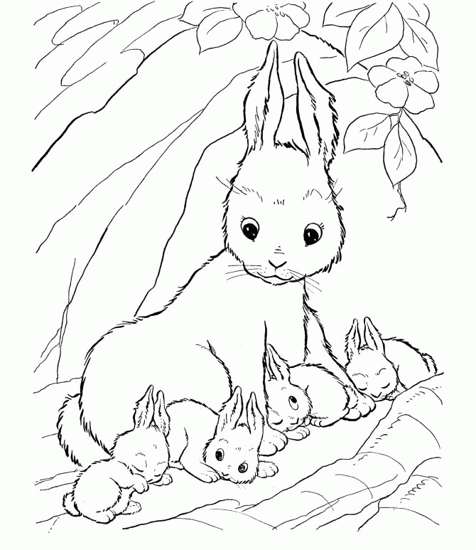 Mother Cat Protecting His Son Coloring For Pages - Cat Coloring