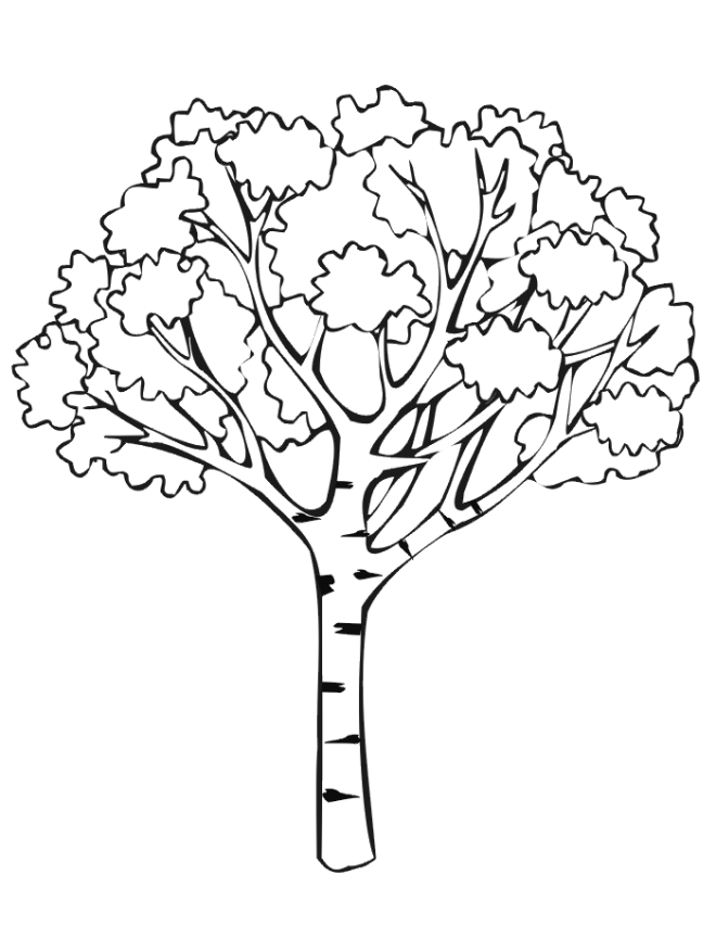 Autumn Coloring Page | Autumn Tree