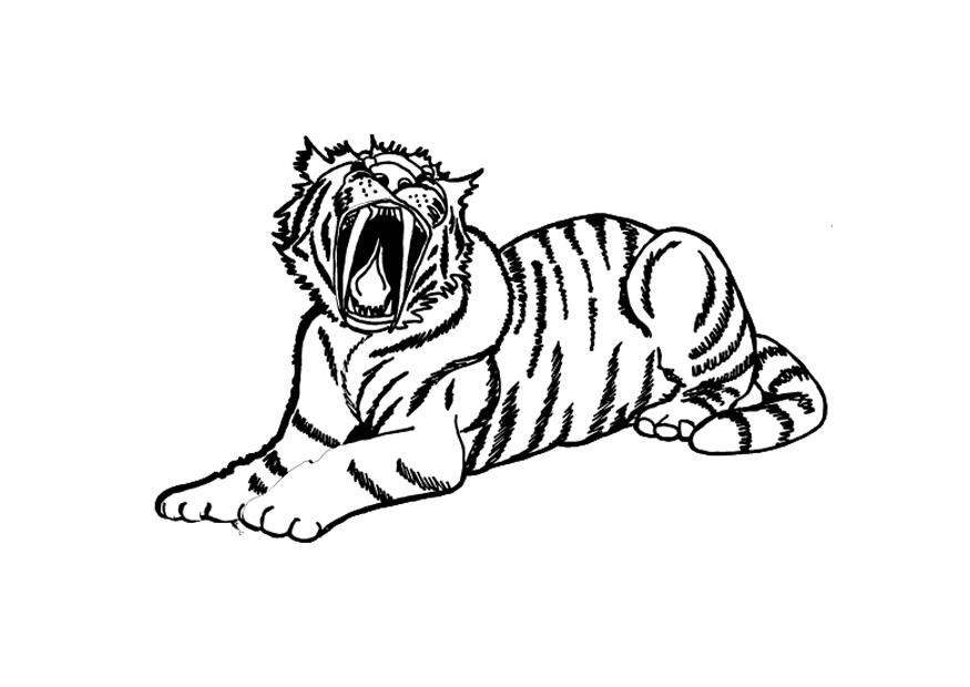 coloring pages of tigers heads : Printable Coloring Sheet ~ Anbu