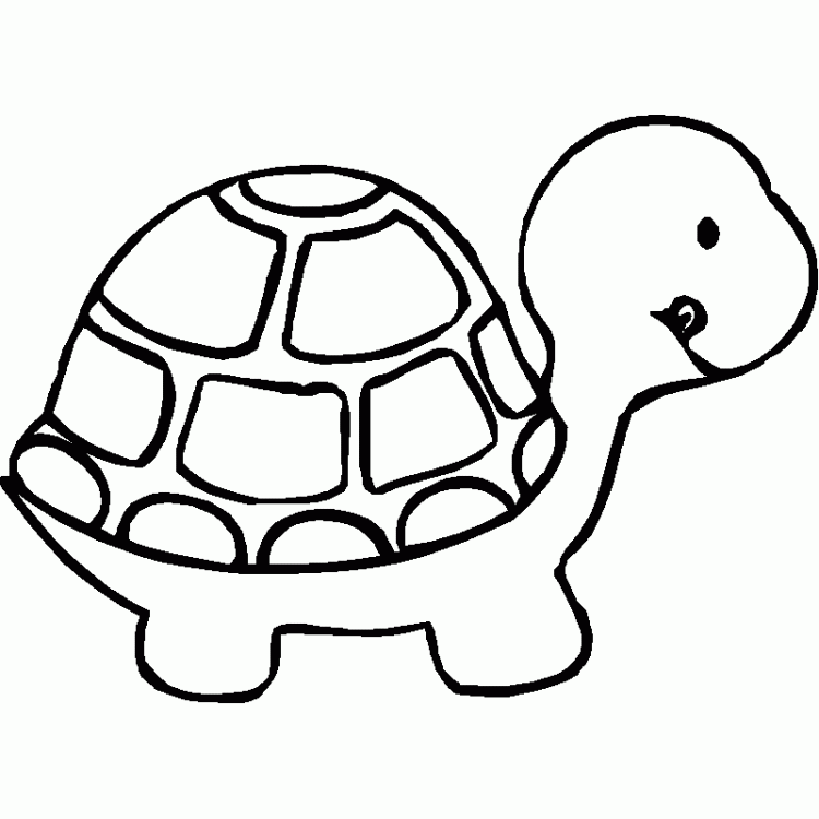 Turtle Coloring Pages | Printable Coloring Pages Gallery
