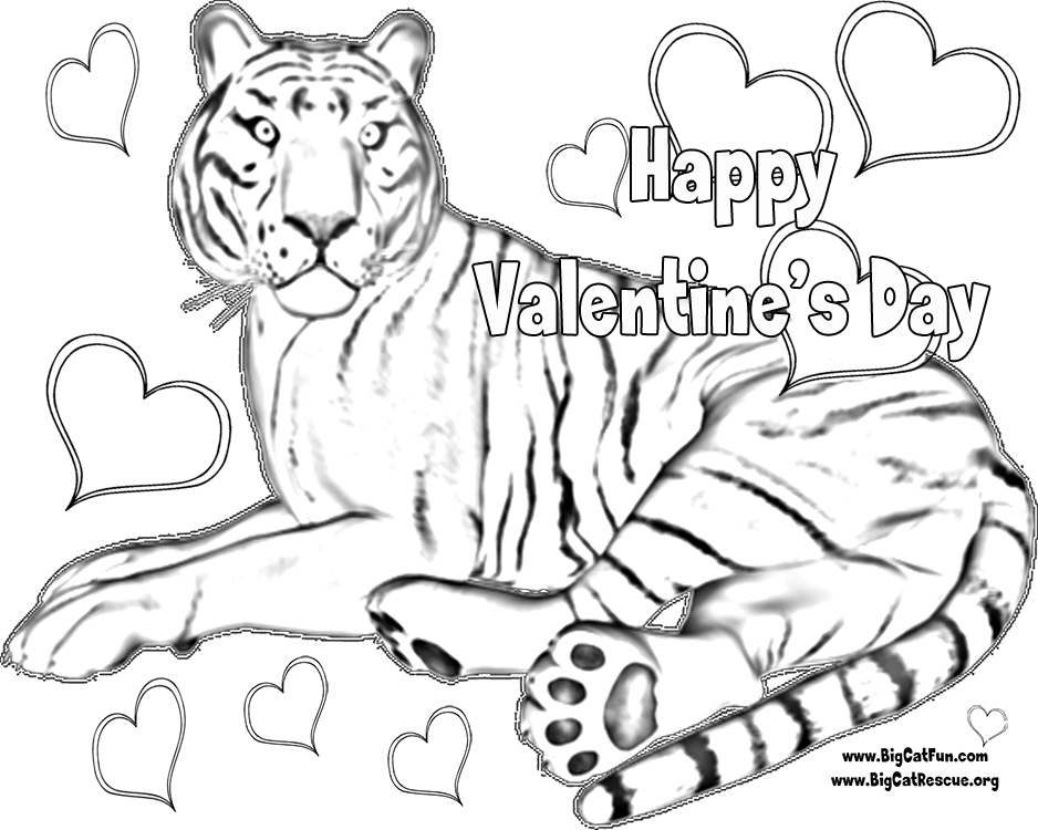 Animal Coloring Tiger Cub Scout Coloring Pages Csl1x : tiger