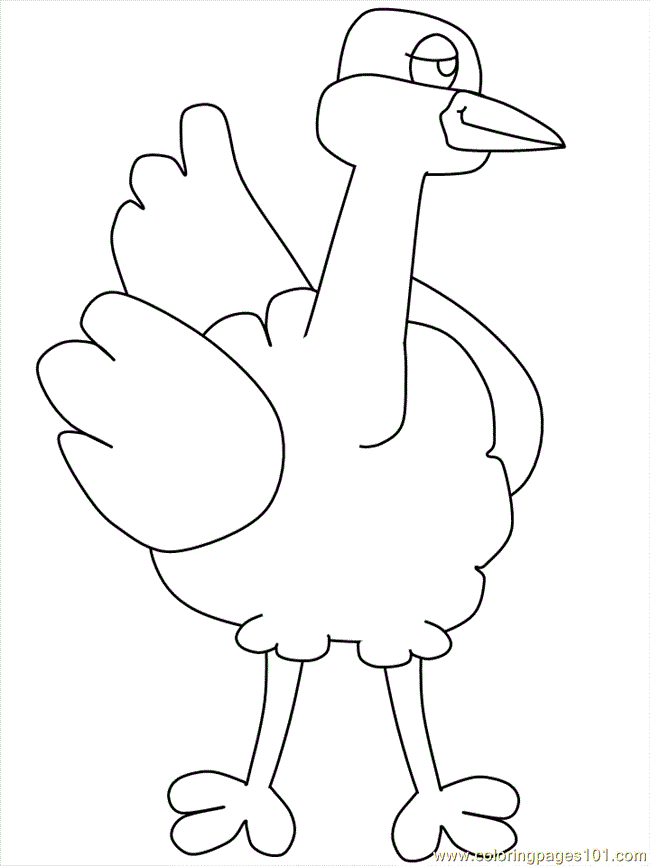 Coloring Pages Ostrich (Birds > Ostrich) - free printable coloring