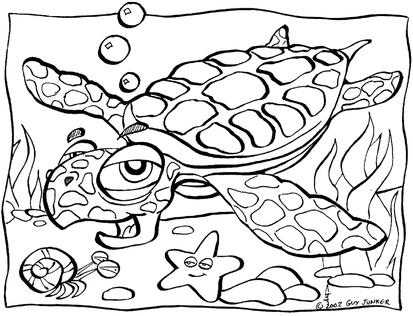 A Turtle Coloring Page Images & Pictures - Becuo