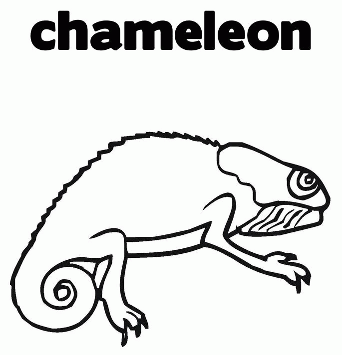 Chameleon Coloring Pages 285 | Free Printable Coloring Pages