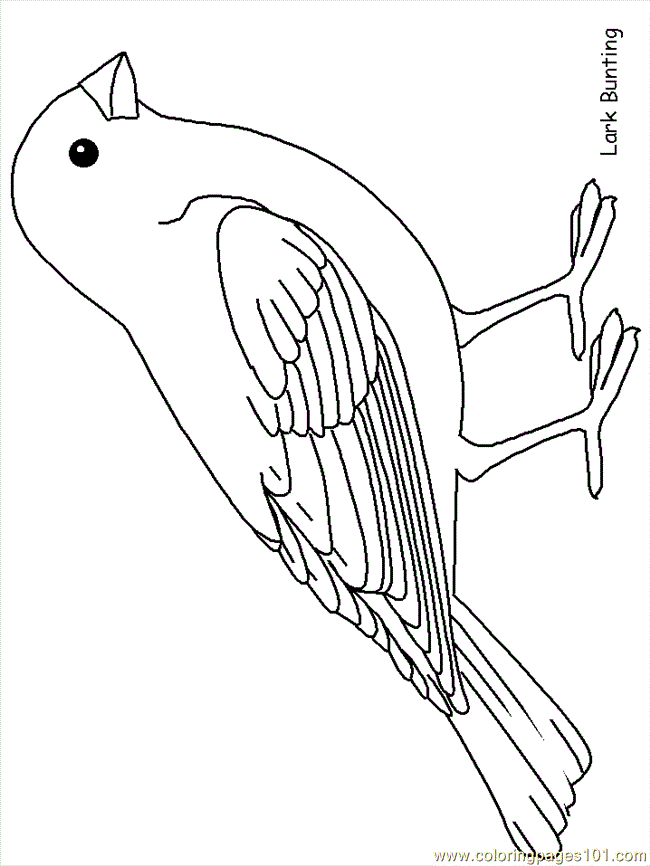 Big Bird Coloring Pages Printable Free | HelloColoring.com
