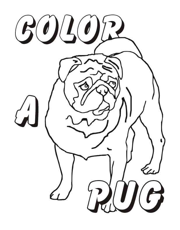 Pugs Colouring Pages (page 2)