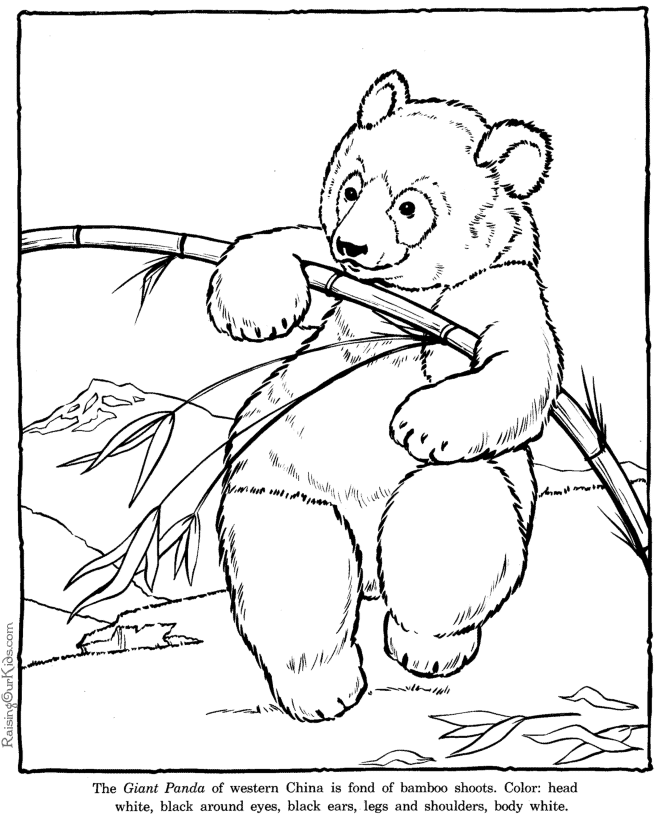 kitty christmas coloring pages hello page