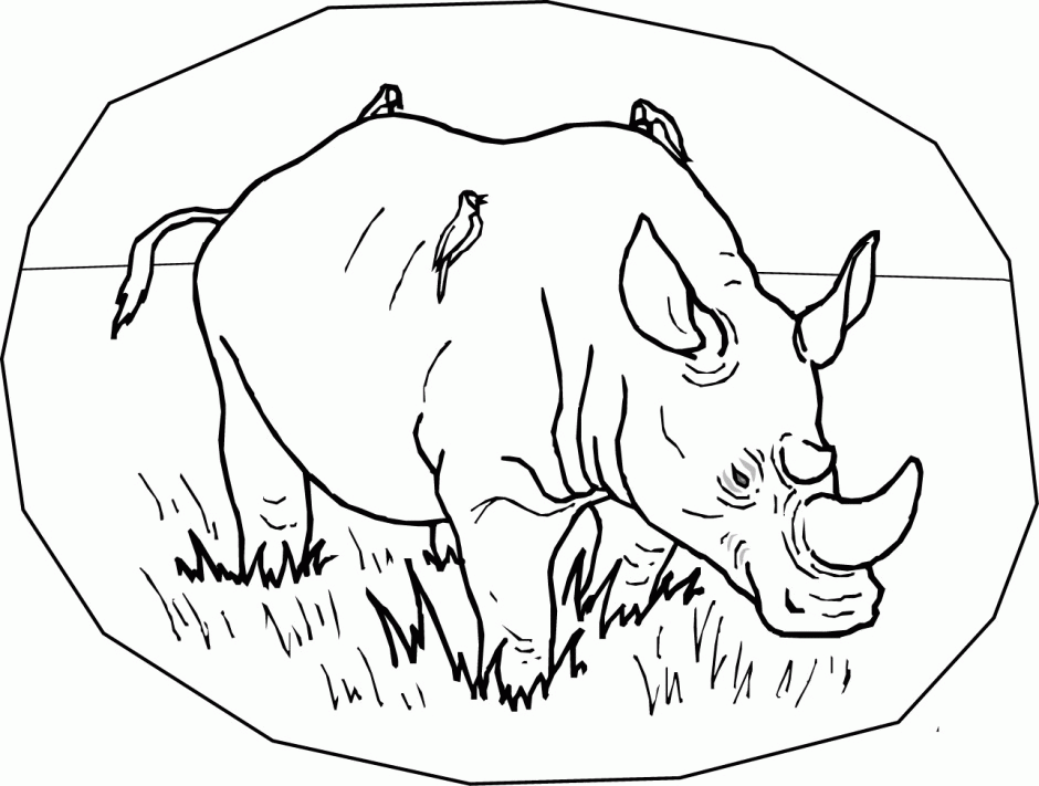 Amazing Coloring Pages Rhino Printable Coloring Pages 285345