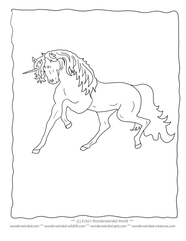 Realistic Unicorn Coloring Pictures Book, Echo