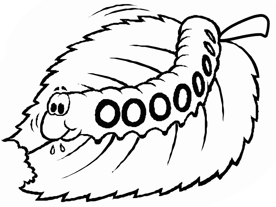 Caterpillar Colouring Page