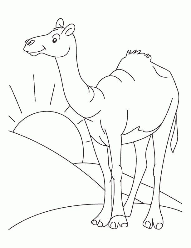 Camel picture to color | Download Free Camel picture to color for
