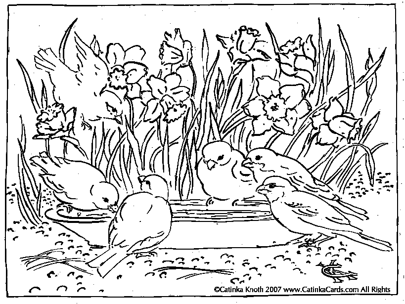 Spring Garden Colouring Pages (page 3)