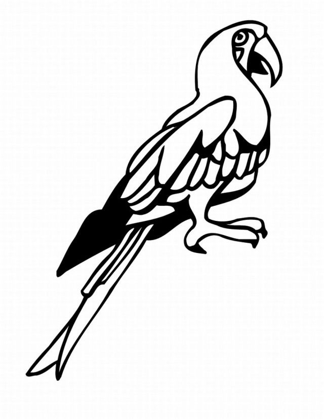 Tropical Bird Animal Coloring Pages 245710 Tropical Coloring Pages