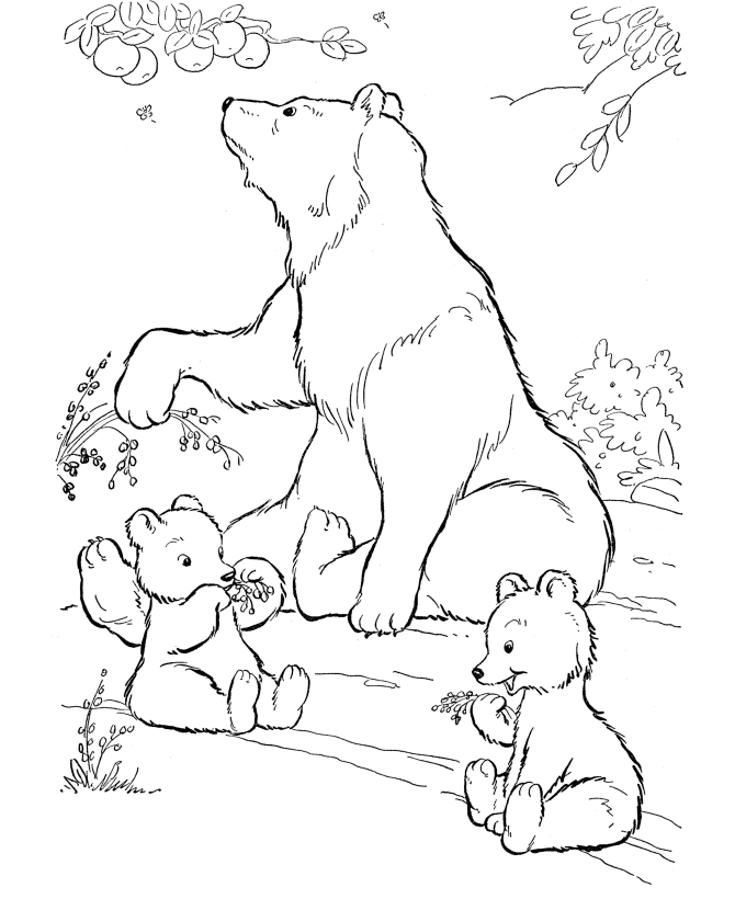 Black Bear Coloring Pages - KidsColoringSource.