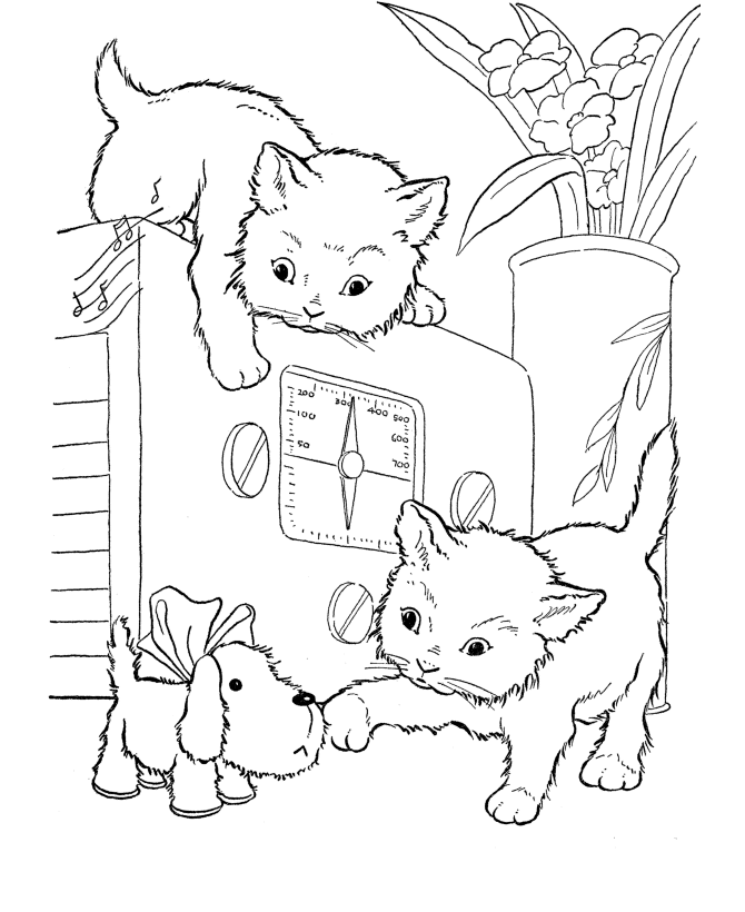 Coloring Pages For Cats