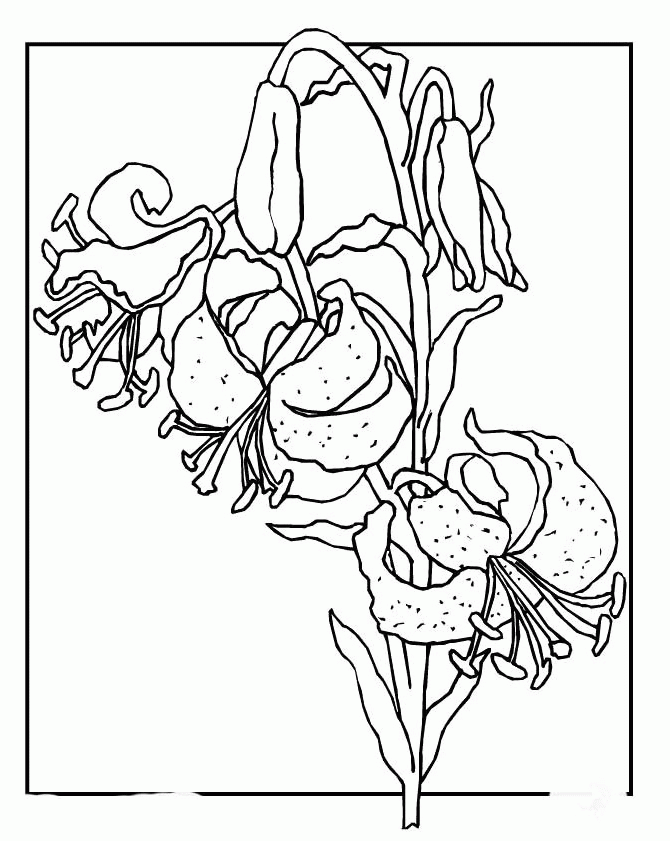 Spring Flower Coloring Book Pages - Spring Day Coloring Pages