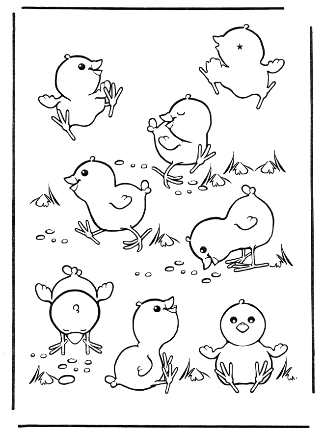 Chick Coloring Pages Printable For Download - Kids Colouring Pages