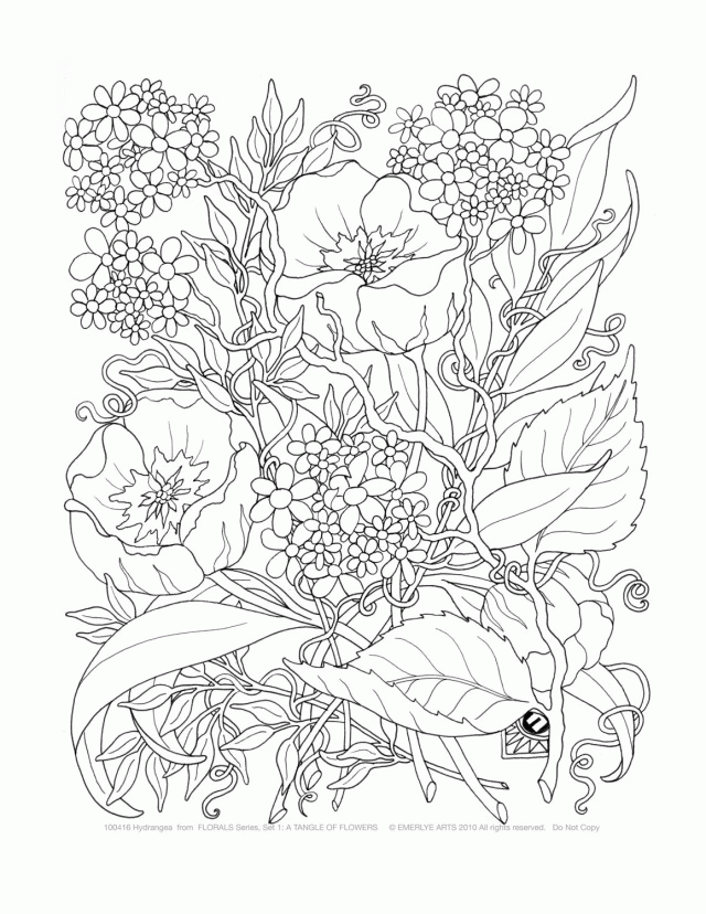 Print Best Detailed Coloring Pages For Adults 2014 Download 290290