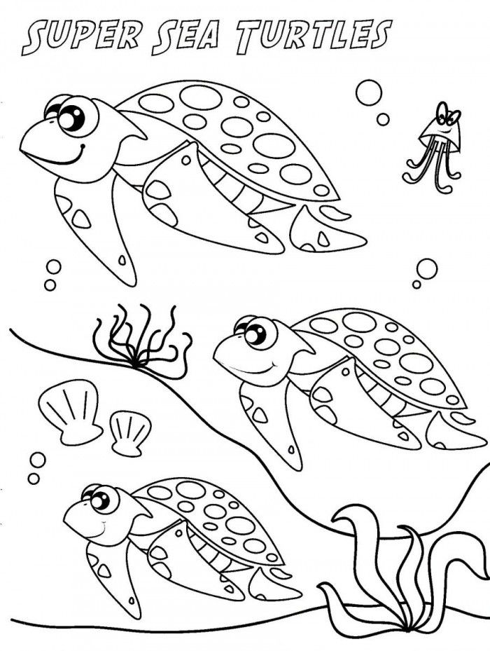 Sea Turtle Eggs Coloring Pages | 99coloring.com