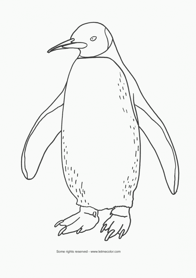Adorable Penguin Coloring Pages Coloring Pages 285053 Penguin