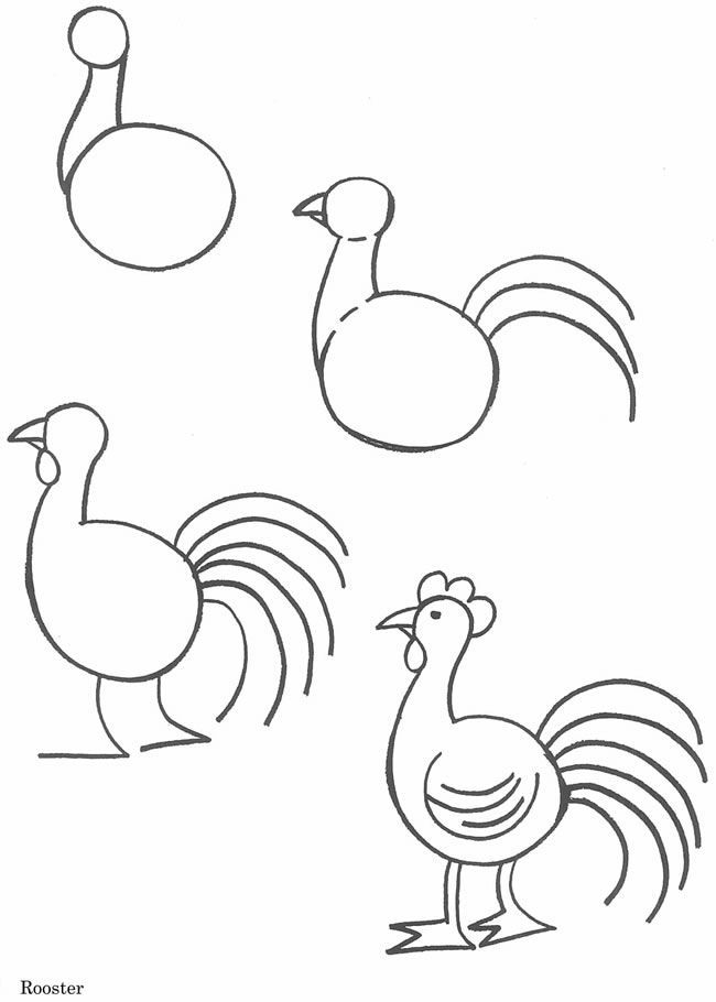 How to draw a rooster | how to: cartoon drawing