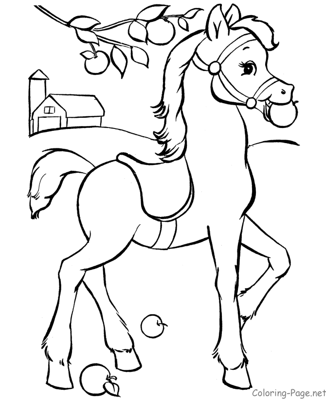 Horse Coloring Page - Pony with saddle