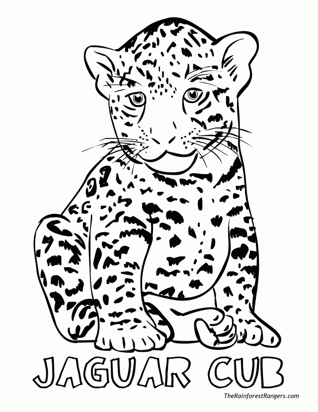 Print And Coloring Pages Jaguar For Kids | Coloring Pages
