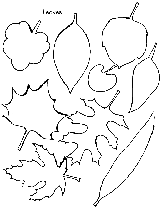 tree-leaves-coloring-pages-98