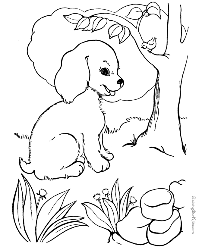 Cat Dog Coloring Pages | Free coloring pages