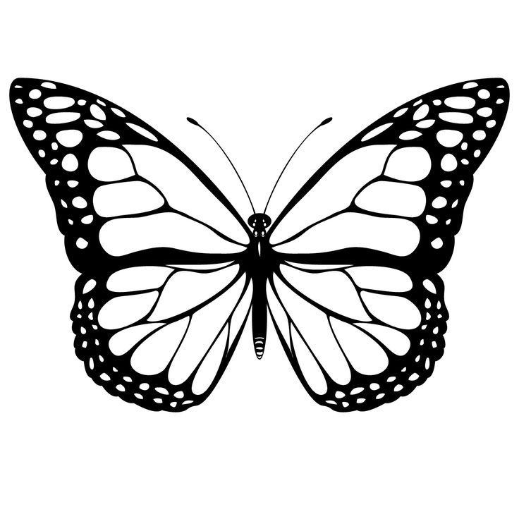 Free Butterfly Template | Everything Printable