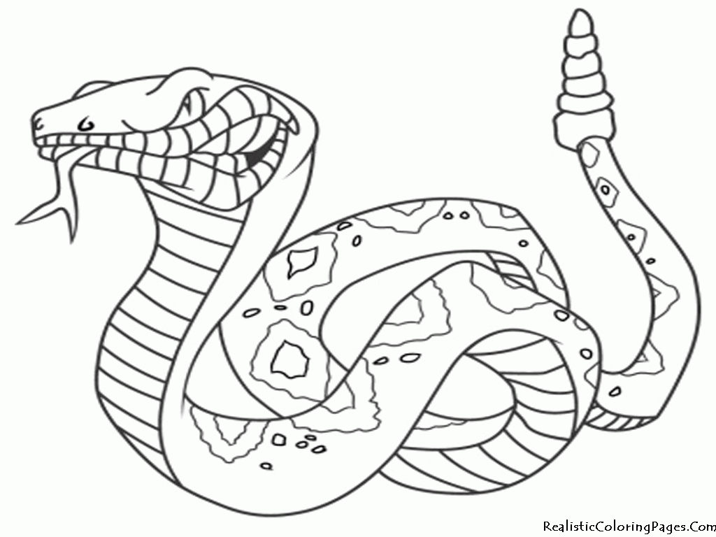 snake color pages - High Quality Coloring Pages