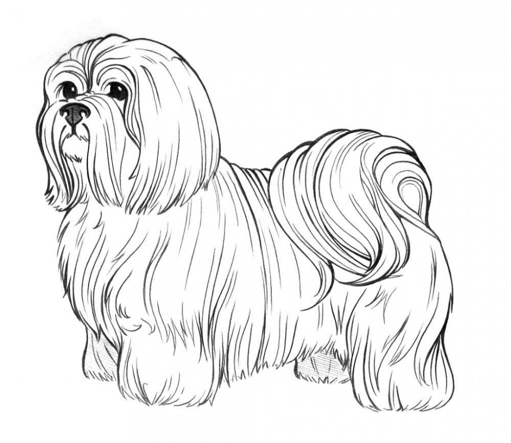 Dog Color Pages Printable Dog Coloring Pages Coloring Ideas Dog ...